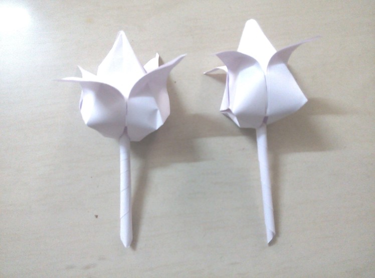 How to make paper tulip, paper tulip flower