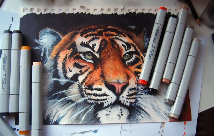 Tiger - copic markers time lapse