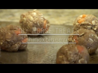 DIY HORSE TREATS-behindxblueeyesx