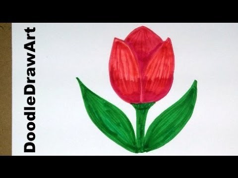 Drawing: How To Draw Cartoon Tulip Flower - Easy Drawing Lesson for Kids