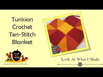Tunisian Crochet Ten Stitch Afgan