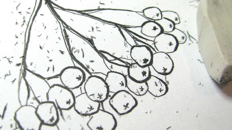 How To Draw Rowan Berries Using A Black Pen - DIY Crafts Tutorial - Guidecentral