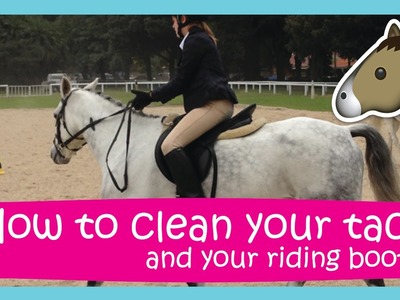 How to clean your tack | Easy & Affordable!