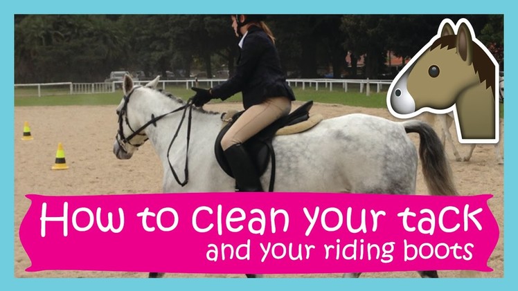 How to clean your tack | Easy & Affordable!