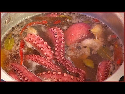 How to cook prepare Wild Spanish Octopus Squid