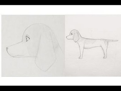 How to Draw Manga: Dog (Beagle) With voiceover!?