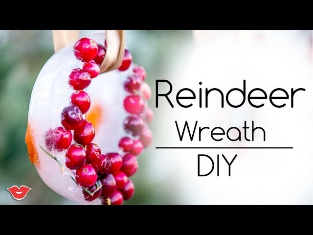 DIY Christmas Wreath for Reindeer | Alison from Millennial Moms