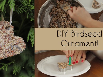 DIY Birdseed Ornament