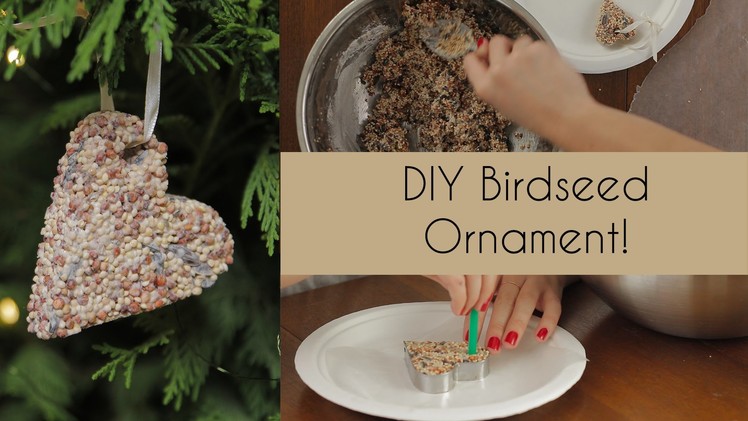 DIY Birdseed Ornament