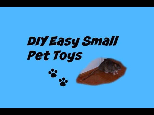 DIY Easy Small Pet Toys(Rodents)