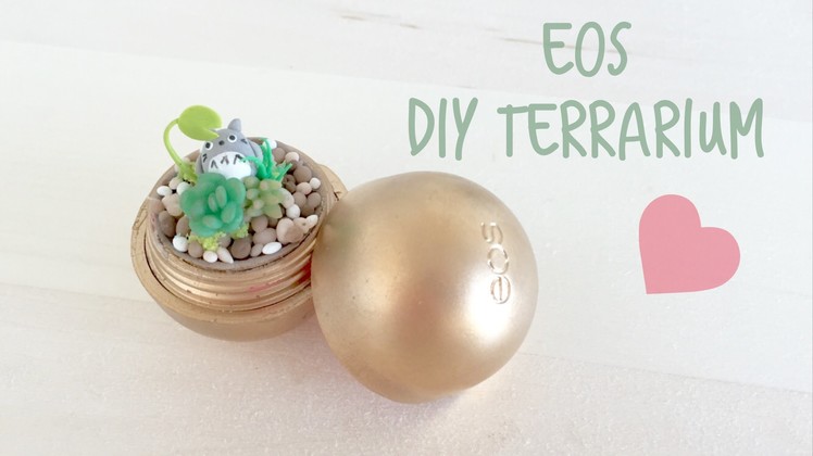 DIY EOS Terrarium with Totoro
