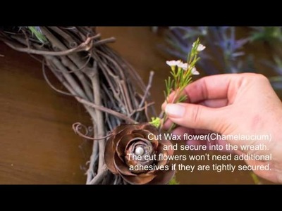 How-To DIY Air Plant Wreath