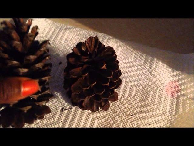 How to make cinnamon scented pine cones
