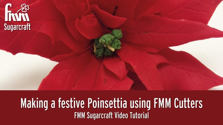 Making a festive Poinsettia using FMM Cutters I Carol Haycox