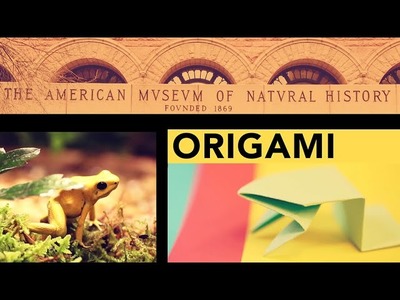 Origami at the Museum: Fold a Jumping Frog in 13 Easy Steps