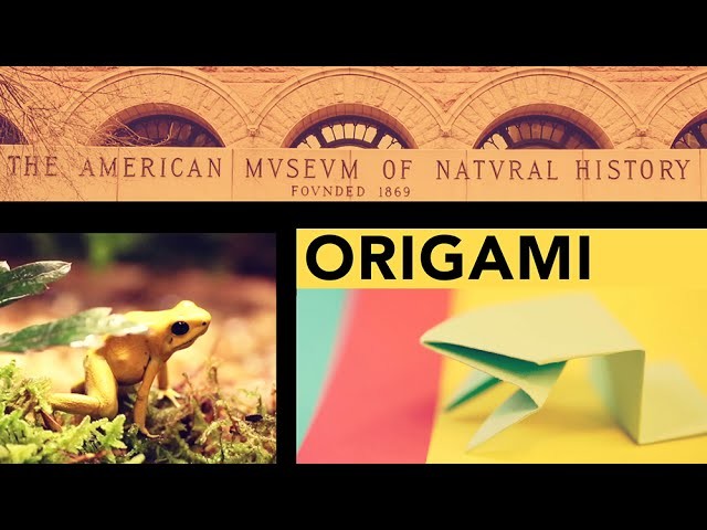 Origami at the Museum: Fold a Jumping Frog in 13 Easy Steps