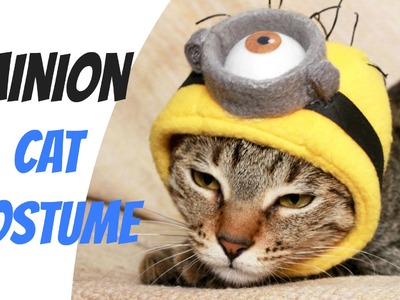 Funny Cat Minion Costume | DIY Pet Costume Tutorial  - 2 Cats & 1 Doll