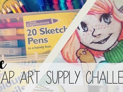 The Cheap Art Supply Challenge! ⊙﹏⊙