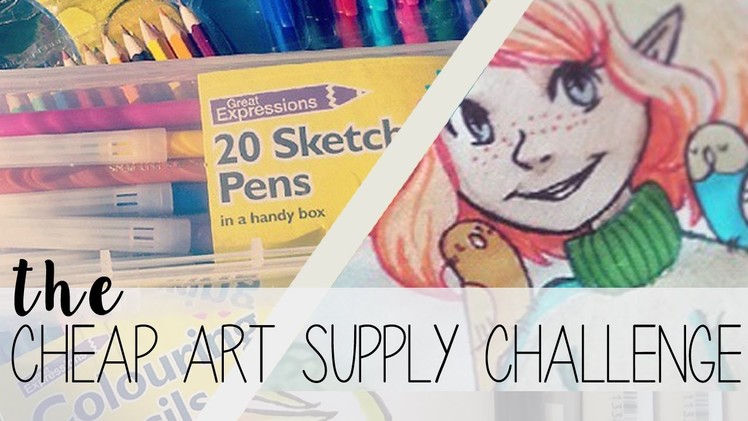The Cheap Art Supply Challenge! ⊙﹏⊙