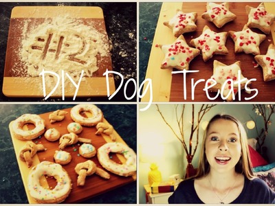 DIY Homemade Dog Treats | TheDogBlog