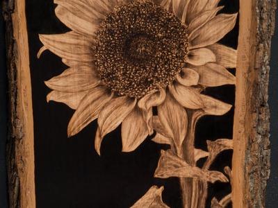 Handmade Pyrography of a Sunflower (Time-lapse 256x)