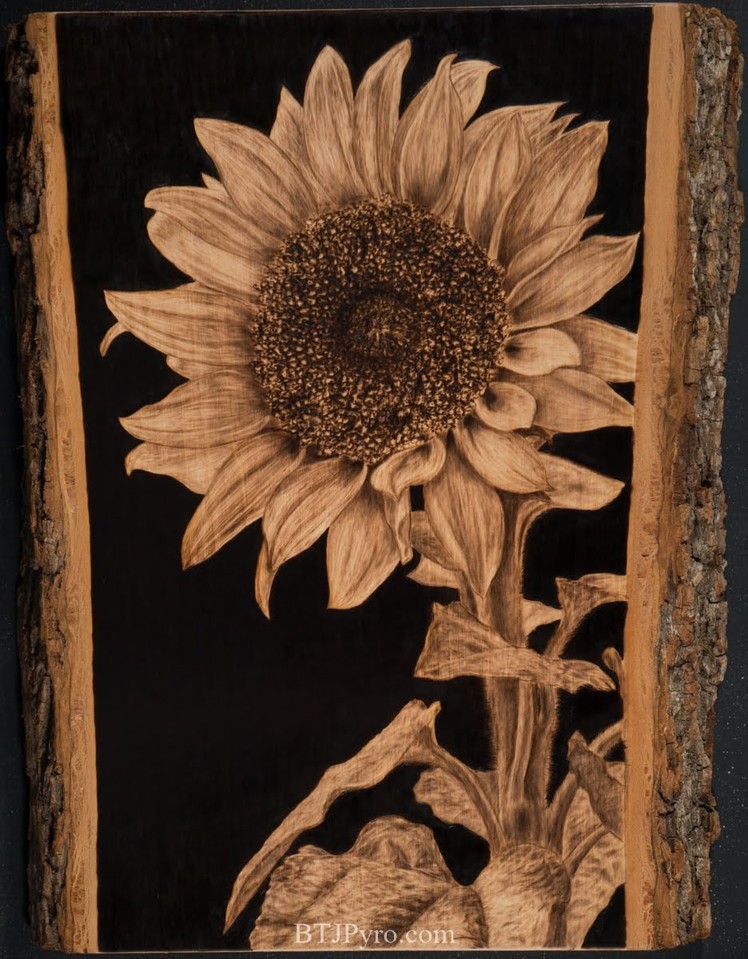 Handmade Pyrography of a Sunflower (Time-lapse 256x)