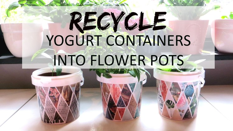 Recycle Yogurt Containers into Flower Pots || How to DIY