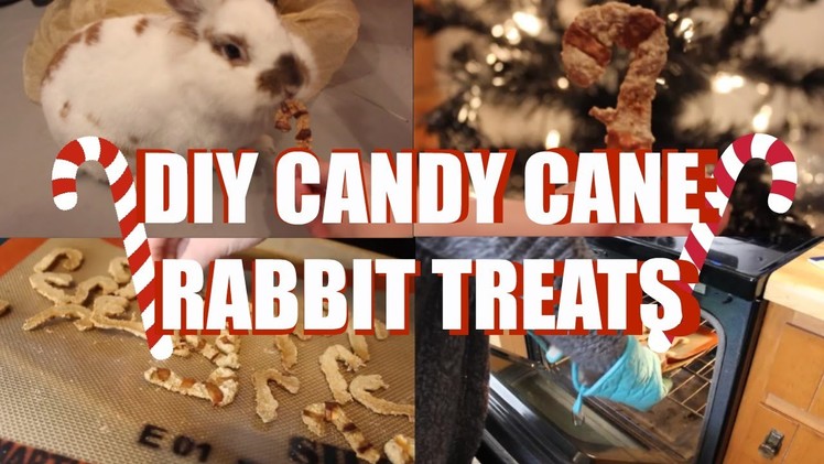 DIY Christmas Rabbit Treats