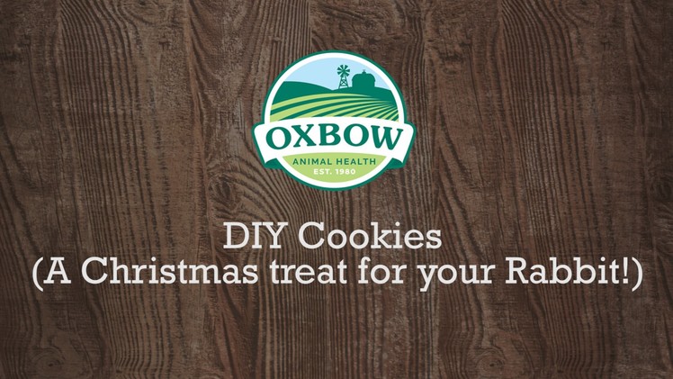 DIY Cookies! (For rabbits)