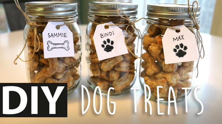 DIY Homemade Peanut Butter Dog Treats