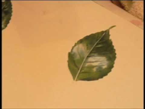 Helen's botanical painting tips 3
