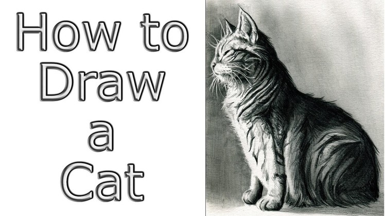 How To Draw a Cat