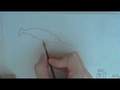 How to draw a narwhal (simple drawing)