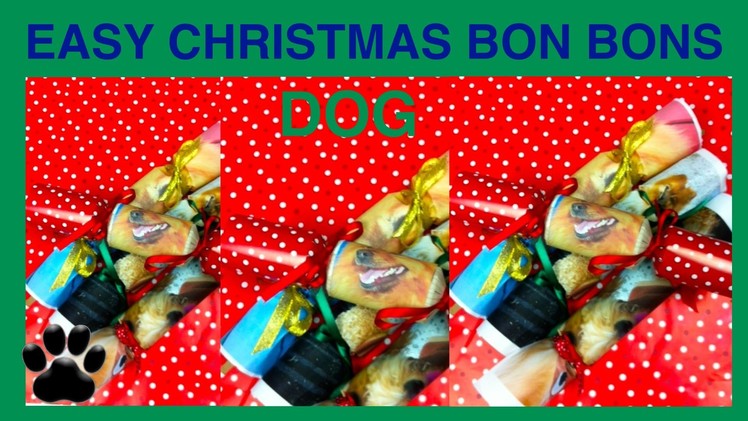 How to make EASY CHRISTMAS CRACKERS - DOG XMAS FESTIVE BON BONS - DIY Dog Food by Cooking For Dogs