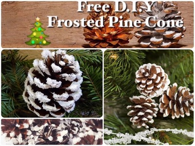 Frosted Pine Cones | Free D.I.Y