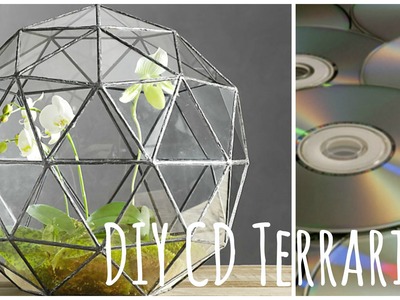 DIY Build your own CD Terrarium- BlueSparkles☆