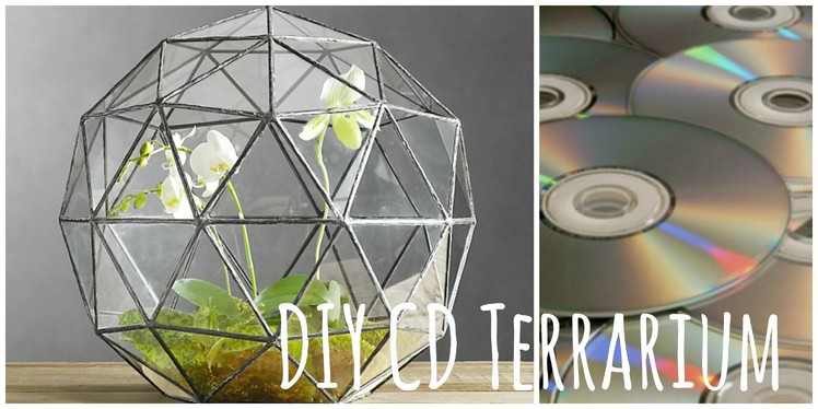 DIY Build your own CD Terrarium- BlueSparkles☆