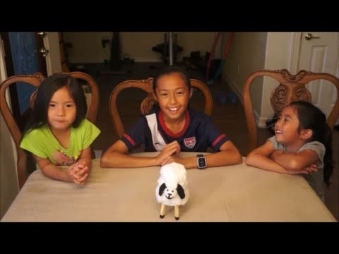 DIY How to make a cottonball sheep project for kids