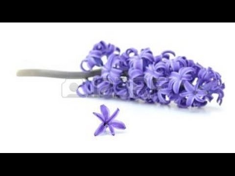 How to make tissue paper flower - Violet handmade paper flowers