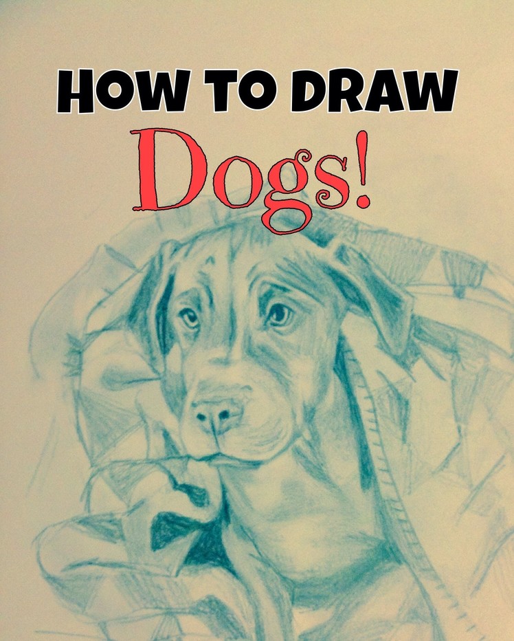 How to draw dogs! Tutorial