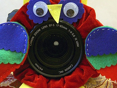 Make a Cute Owl Camera Accessory - DIY Technology - Guidecentral