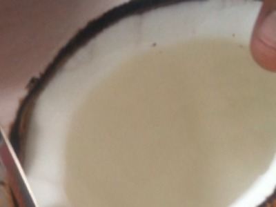 Make Homemade Creamy Coconut Milk - DIY Food & Drinks - Guidecentral