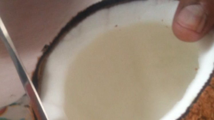 Make Homemade Creamy Coconut Milk - DIY Food & Drinks - Guidecentral