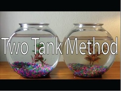 ONLY way to Clean a Goldfish Bowl  DIY Two Tank Method How to