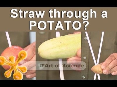 How to put a straw through a potato - Cool DIY Science Experiment- dartofscience