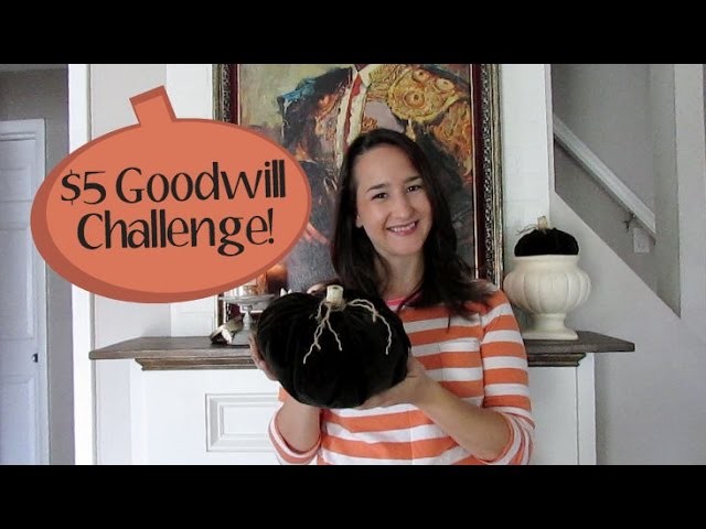 $5 Goodwill Challenge: Fall Edition • DIY Velvet Pumpkins
