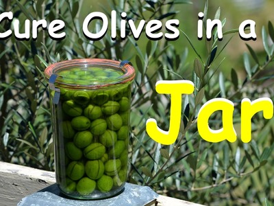 How to Cure Olives in a Jar - Homegrown DIY
