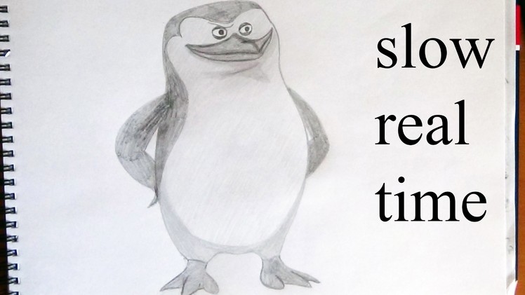 How to draw Skipper penguins of madagascar SLOW REAL TIME