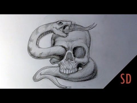 How to Draw Skull and Snake Tattoo - Skull Drawings