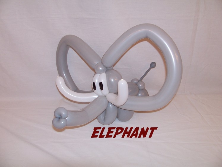 How to make a Balloon Elephant by Stretch the Balloon Dude